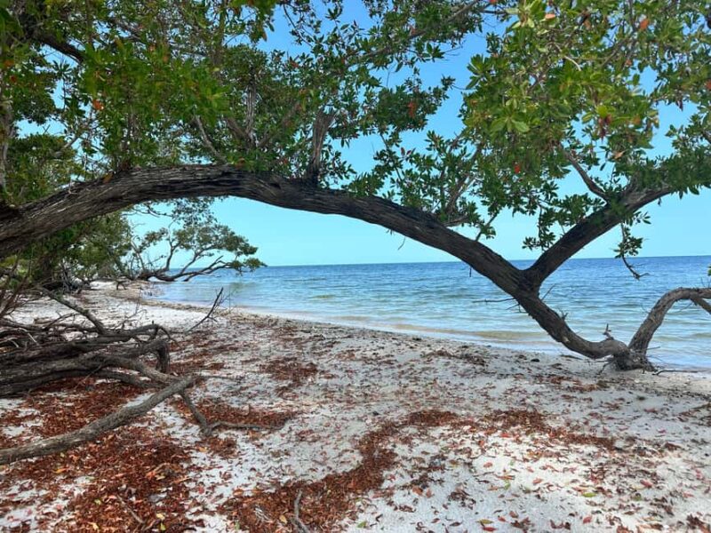 Everglades Pirate and Beach Adventure - Key Points