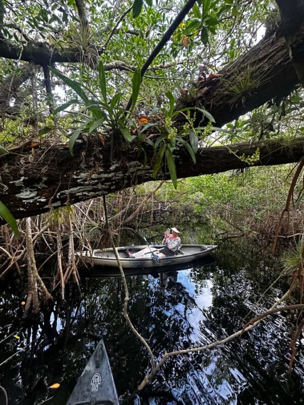 Everglades: Private Kayak Tour with Guide - Key Points