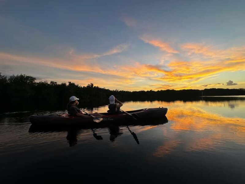 Everglades: Private Kayak Tour with Guide - Exploring the Mangrove Tunnels and Cypress Forest