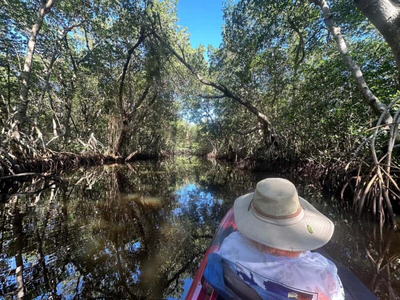 Everglades: Private Kayak Tour with Guide - Wildlife Encounters: Alligators, Ospreys, and More