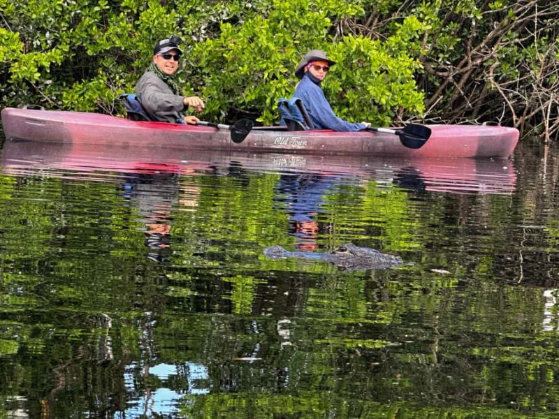 Everglades: Private Kayak Tour with Guide - What to Bring for a Comfortable Paddle