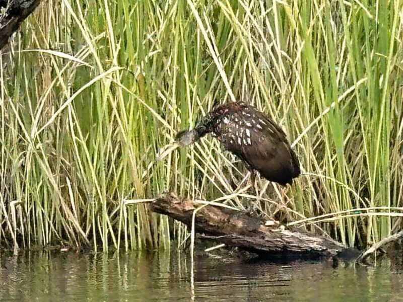 Everglades: Private Kayak Tour with Guide - Flexibility and Cancellation Policy