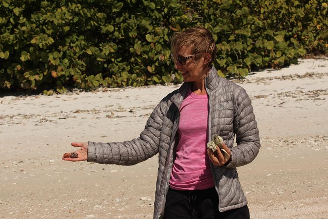 Everglades Small Group Guided Boating & Walking Tour Expedition - Limitations and Considerations