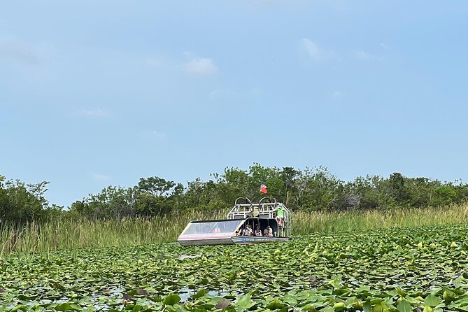 Everglades Tour from Miami with Transportation - Wildlife Encounters and Birdwatching Opportunities