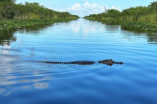 Everglades Tour from Miami with Transportation - Flexibility and Multiple Departure Times