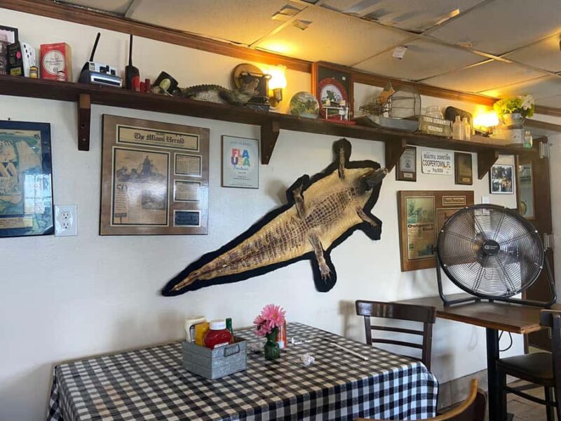 Everglades Tour in French from Orlando and the surrounding area - Why Choose This Everglades Tour in French from Orlando?