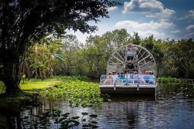 Everglades Tour in Miami - Final Thoughts on the Everglades Tour in Miami