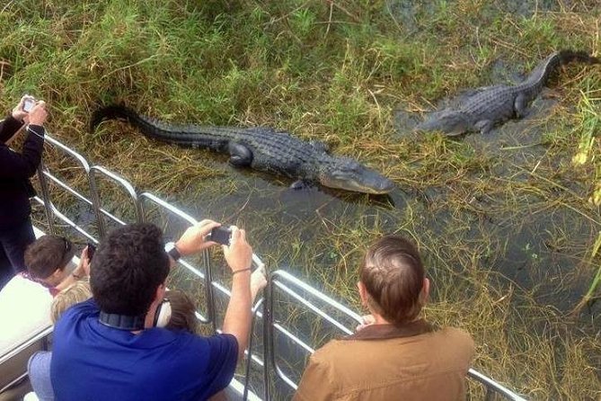 Everglades Tour in Miami - Frequently Asked Questions