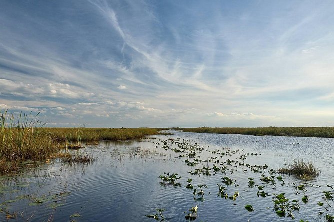 Everglades Tour w/ Biologist Led WET walk + 2 Boat Trips + Lunch! - Big Cypress National Preserve Wet Walk Adventure