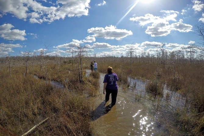 Everglades Tour w/ Biologist Led WET walk + 2 Boat Trips + Lunch! - Lunch in Everglades City and Cultural Insights