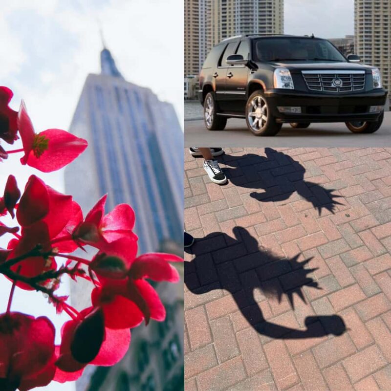 Everything New York City Private SUV Tour - Central Park: A Flexible Stop or Scenic Drive