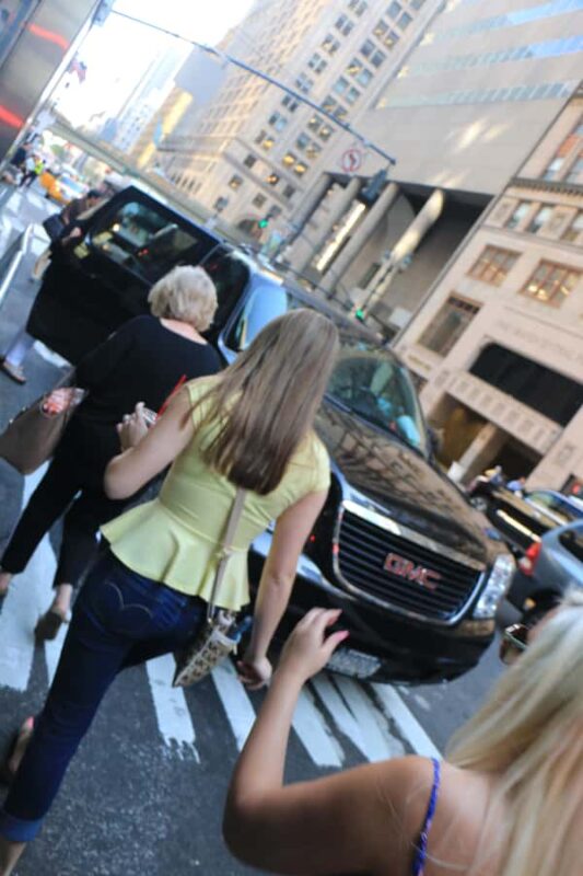 Everything New York City Private SUV Tour - The Bridge and Harbor Views from Battery Park and Staten Island