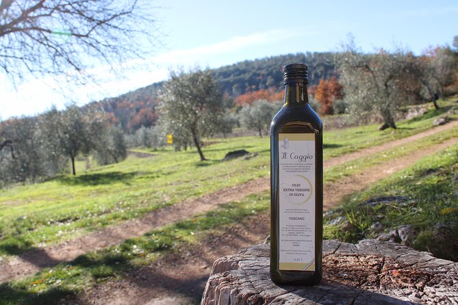 Evo Oil Experience with Oil Tasting and Lunch in the Nature - Unlock the Secrets of Tuscan Olive Oil in a Historic Olive Grove