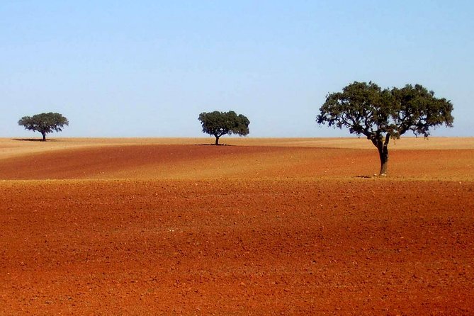 Évora & Alentejo: A Journey Through History and Flavors - Key Points