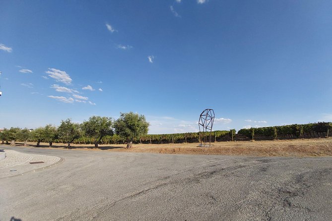 Evora & Alentejo Wine Region Private Luxury Tour - Critical Considerations and Limitations