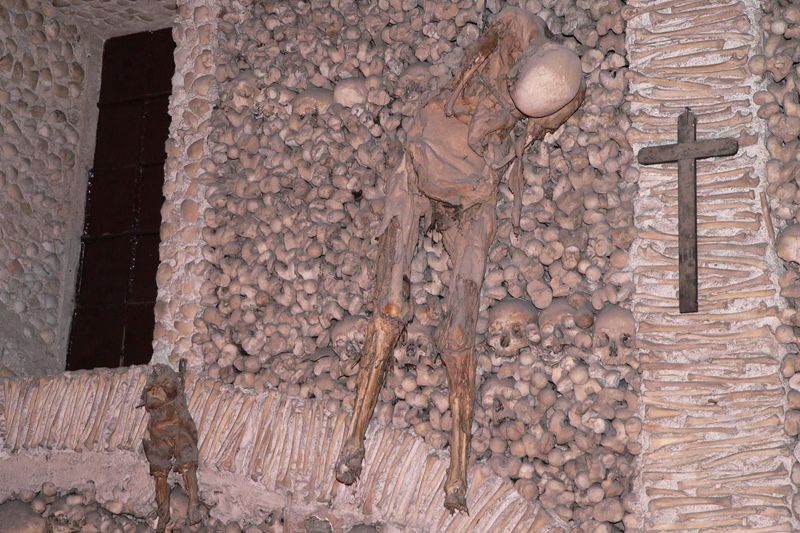 Évora and Megaliths Full-Day Tour from Lisbon - Why This Évora and Megaliths Tour Is a Solid Choice