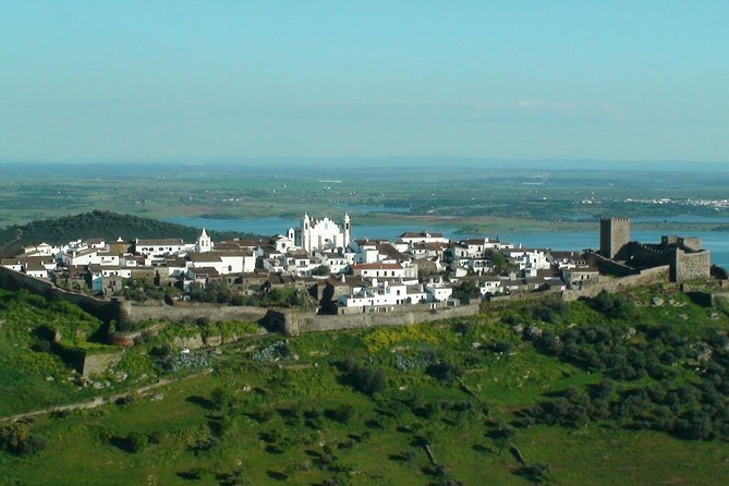 Evora and Monsaraz Wine Tasting Private Tour - The Guide’s Role and Personalization