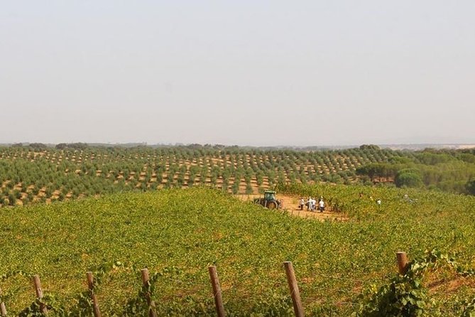Evora City Tour, Museum City - The Chapel of Bones: A Reflection on Life and Mortality