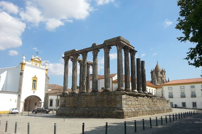 Evora City Tour, Museum City - Wine Tasting at Ervideira: Engaging the Senses