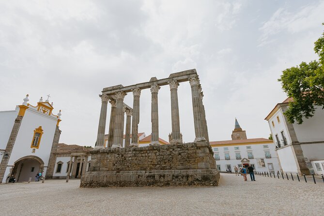 Évora, medieval village Monsaraz & Wine Tasting - Who Will Enjoy This Tour Most?