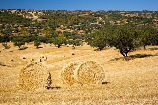 EVORA & MONSARAZ FULL-DAY PRIVATE TOUR with winery, cork & gourmet tavern - Cross the 25th of April Bridge to the Alentejo Landscape