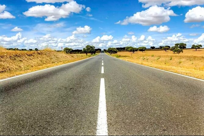 EVORA & MONSARAZ FULL-DAY PRIVATE TOUR with winery, cork & gourmet tavern - Practical Details: Transportation and Flexibility