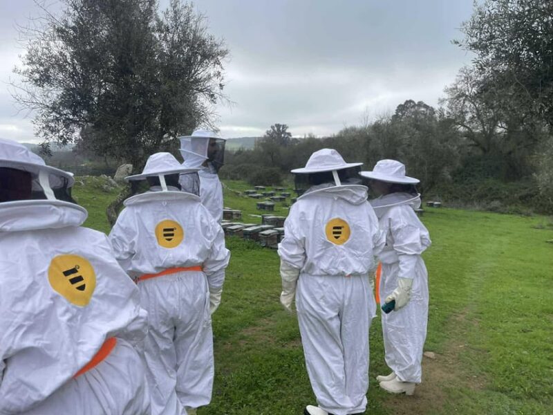 Évora or Montemor: Beekeeping, Chocolate factory, Wine tasting - Beekeeping Experience at a Local Apiary