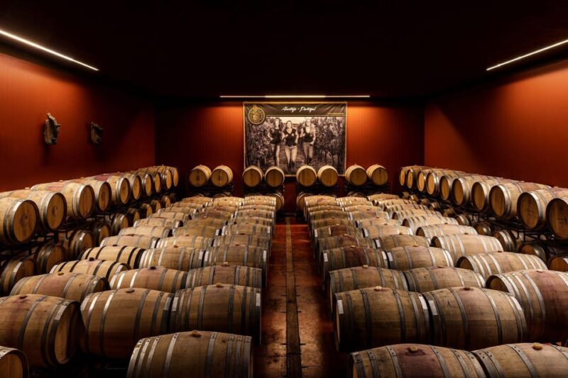 Évora or Montemor: Beekeeping, Chocolate factory, Wine tasting - Exploring Montemor-o-Novo Castle and its Panoramic Views