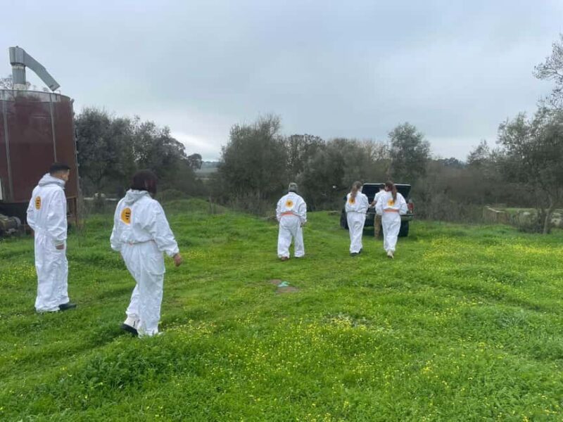 Évora or Montemor: Beekeeping Guided Tour with Honey Tasting - What Happens During the Beekeeping Tour in Évora District