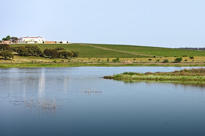 Evora Private Full Day Tour from Lisbon - Practical Details and What’s Not Included