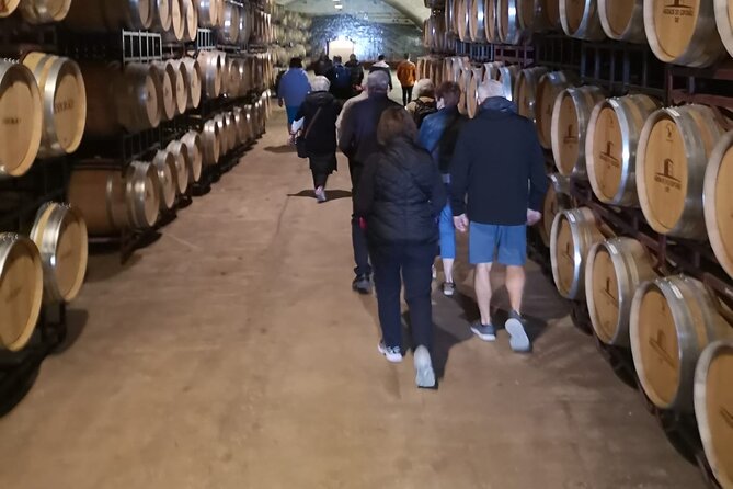 Évora Private Tour - Cork Factory and Wine Estate Included - Wine Tasting at Enoturismo Cartuxa’s Esteemed Winery