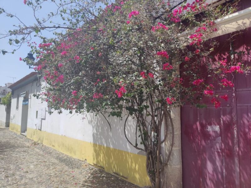 Évora Private Walking Tour - The Guide’s Passion and Storytelling Style