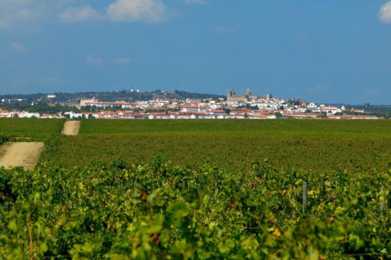 Évora Tour: Private and Customized tour Full and Half day - An Easy and Comfortable Trip