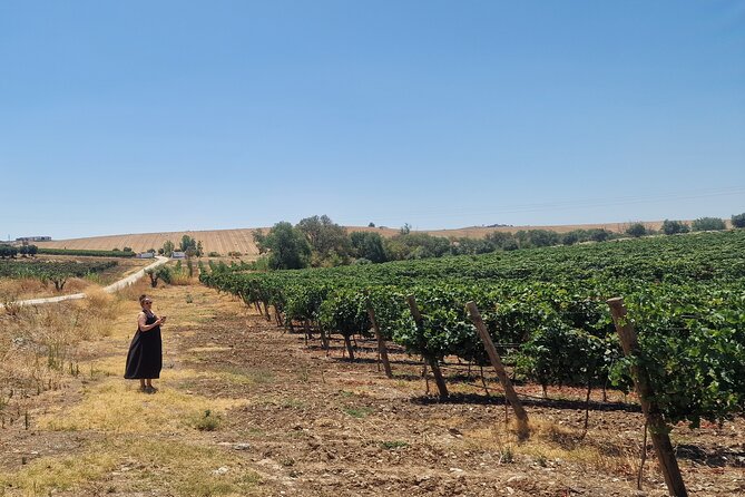Evora Wine & Cork Experience - Unmatched Expertise from Friendly Guides