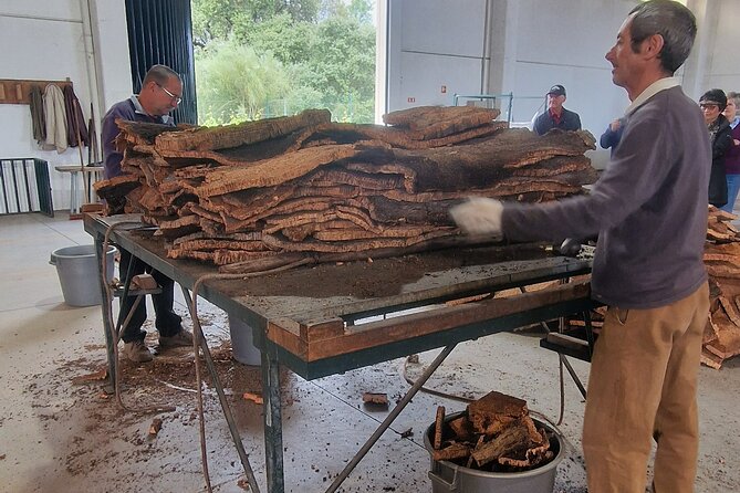 Evora Wine & Cork Experience - No Lunch Included, Flexibility for Personal Tastes