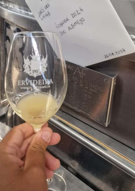 Évora & Wines: A Taste of Authentic Alentejo - A Delicious Typical Lunch in the Heart of Évora