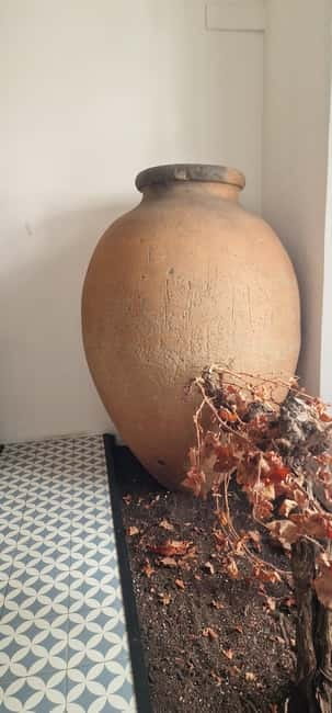 Évora & Wines: A Taste of Authentic Alentejo - Concluding the Day: Return to Lisbon