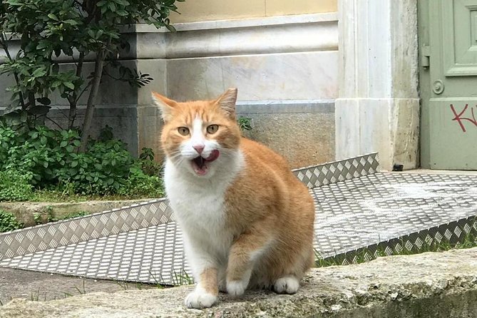 Exarcheia walking tour: The other side of Athens - The Unique Appeal of This Exarcheia Tour