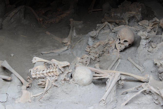 Excavations of Herculaneum. Tour guide and skip-the-line ticket - Practical Details of the Tour Experience