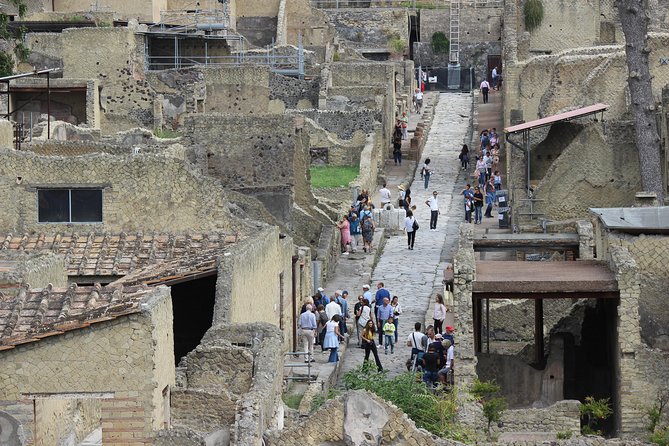 Excavations of Herculaneum. Tour guide and skip-the-line ticket - The Guide’s Approach and Guest Interactions