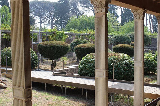 Excavations of Pompeii. Tourist guide and skip-the-line ticket - Timing and Tour Flexibility