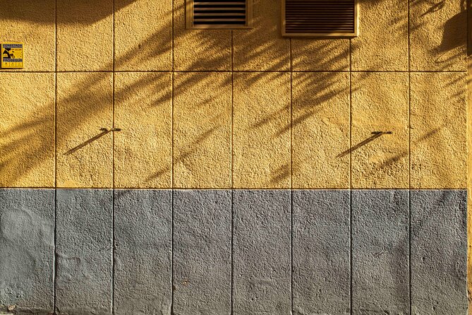 Excellent Private Photography Walking Tour & Workshop in Valencia - Discovering Valencia’s Off-the-Beaten-Path Viewpoints