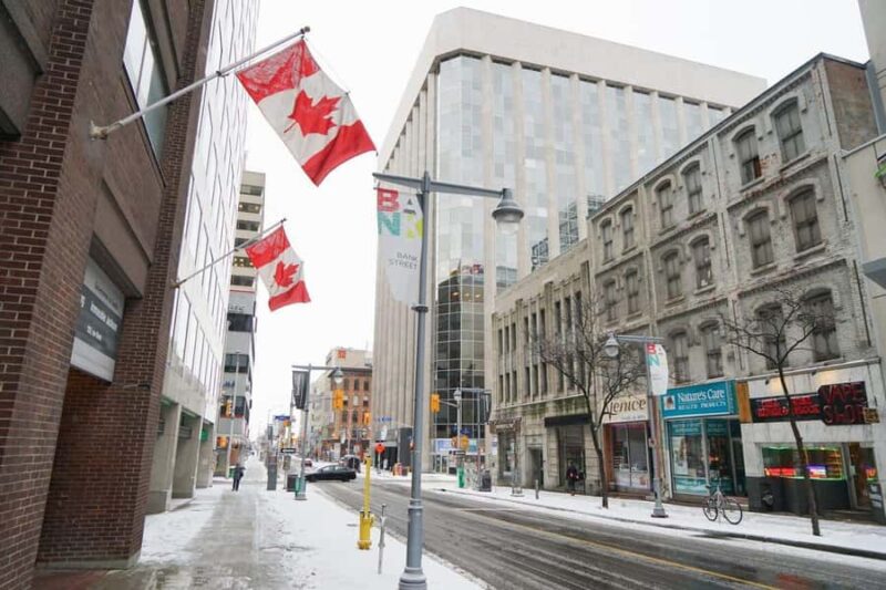 Exceptional Private Walking Christmas Tour in Magical Ottawa - Exploring Lionel Britton Parks Twinkling Lights