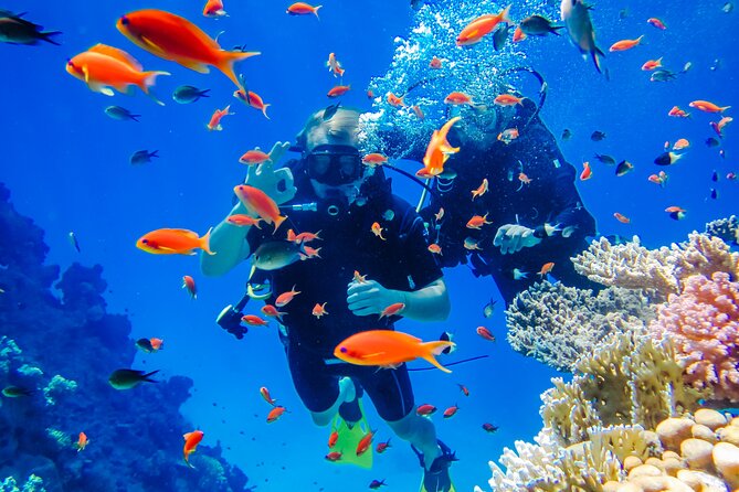 Exciteful Scuba Diving Experience in Antalya - Exciteful Scuba Diving Experience in Antalya