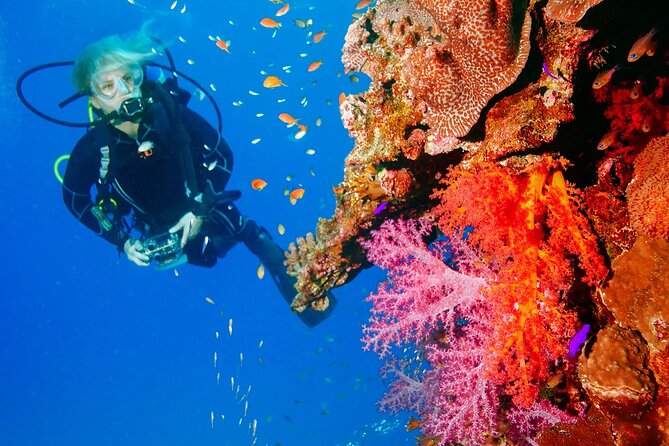 Exciteful Scuba Diving Experience in Antalya - Antalyas Mediterranean Waters Offer Colorful Marine Life