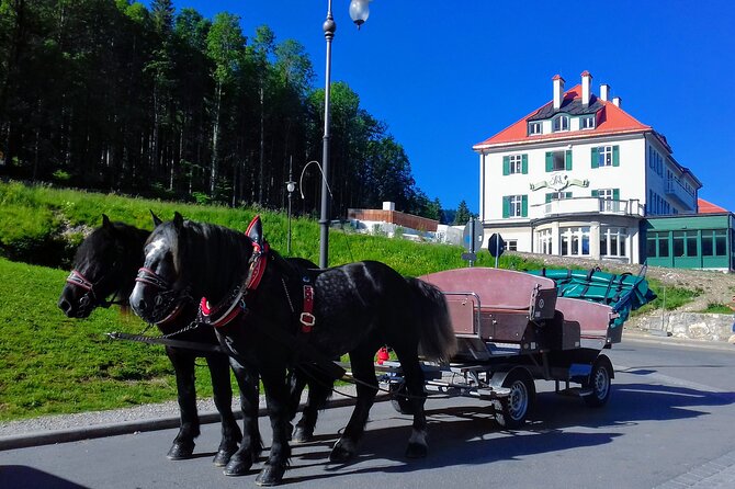 EXCLUSIVE 3 Royal Castle SKIP-THE LINE Tour of Neuschwanstein + Linderhof + Hohenschwangau from Munich - Hohenschwangau Castle’s Royal Interior and Family Connection