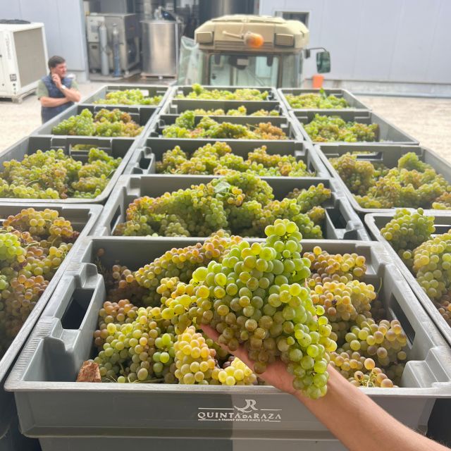 Exclusive 5-wine tasting - Guided Tour of Quinta da Razas Facilities