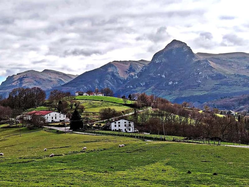 Exclusive Basque countryside - Experience Basque Cuisine and Local Tastes