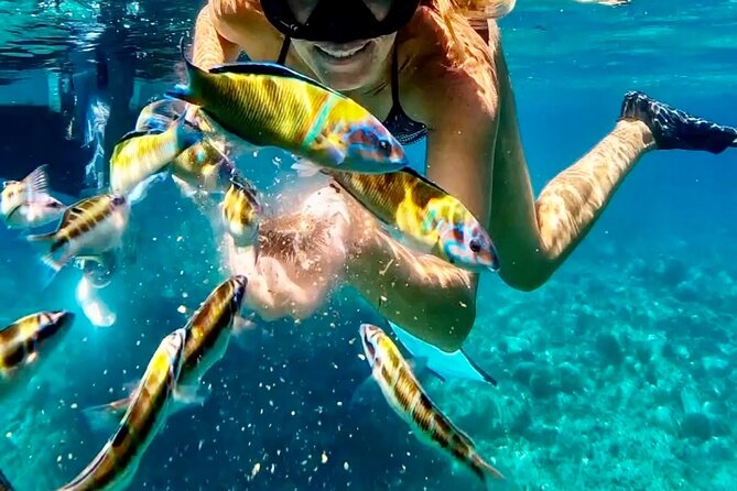 Exclusive boat tour for up to 9 people, beautiful Tropea - Key Points