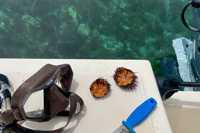 Exclusive boat tour max 9 people tropea capo vatican - Swimming, Snorkeling, and Underwater Photos